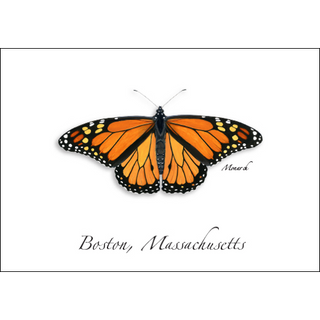 Monarch image 0