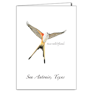 Scissor-tailed Flycatcher image 0