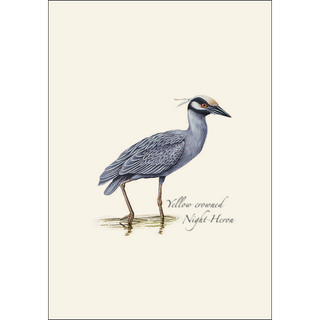 Heron  Assortment image 3