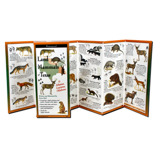 Land Mammals of Texas (Louisiana, Arkansas & Oklahoma) image 1