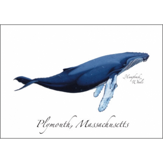 Humpback image 0