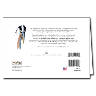 Sibley's 10-Card Bundle (Set of 10 Greeting Cards) image 15