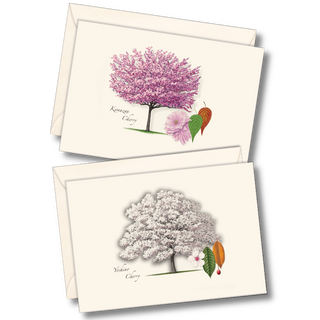 Cherry tree notecard assortment celebrating spring blossoms