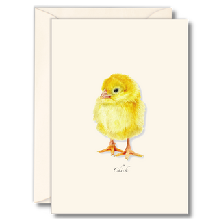 Chick notecard illustrated by experts, made in the USA with recycled paper and sustainable packaging