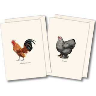 Chicken assortment notecards celebrating farmyard favorites, packaged in a recyclable box