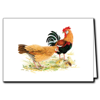 Chickens greeting card capturing everyday farm life and rural charm