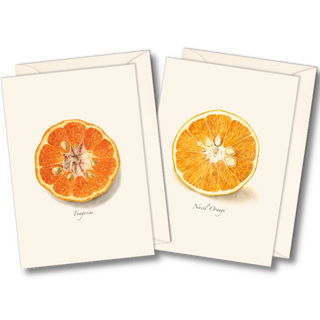 Citrus assortment notecards celebrating vibrant orchard fruits, packaged in a recyclable box