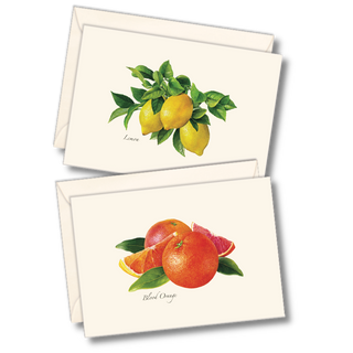 Citrus notecard assortment inspired by bright orchard flavors