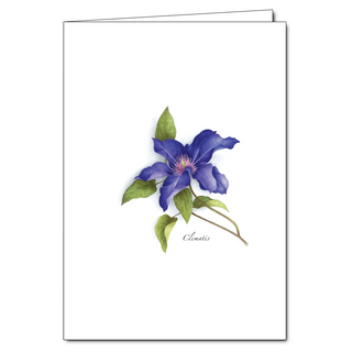Clematis greeting card featuring climbing garden blooms