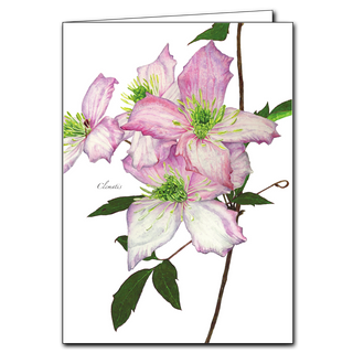 Share nature's beauty with this Clematis II greeting card. Made from recycled paper