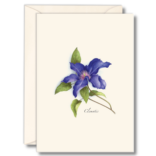 Clematis notecard showcasing climbing garden blooms, printed on recycled paper