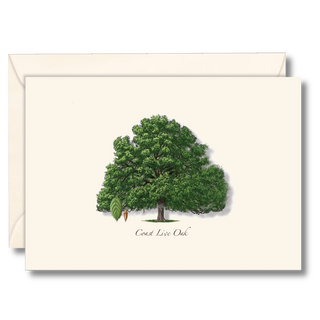Coast live oak notecard celebrating a long-lived native tree, made in the USA