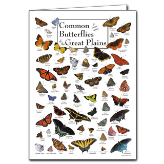 Common Butterflies of the Great Plains greeting card. Made from recycled paper. Blank inside for your message