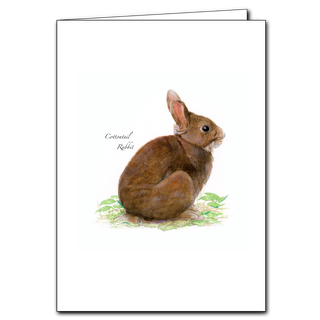 Cottontail rabbit greeting card featuring woodland charm, blank inside and gift-ready
