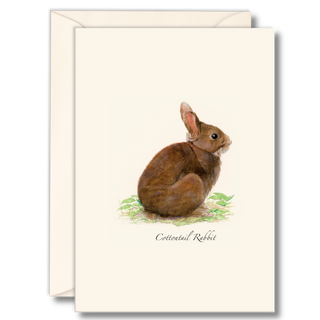 Cottontail rabbit notecard featuring a familiar woodland mammal, printed on recycled paper