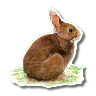 Cottontail rabbit stickers on water-resistant vinyl for mammal species reference