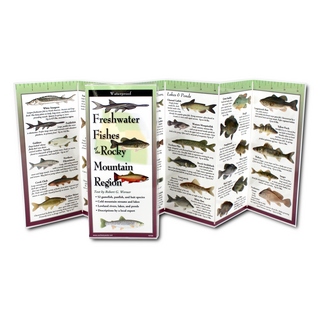 Freshwater Fishes of the Rocky Mountain Region image 1