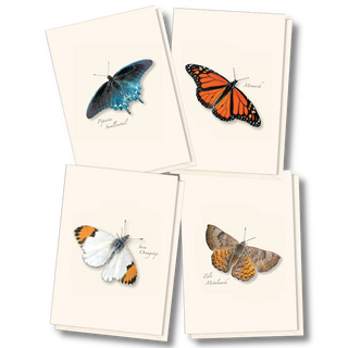 Western Butterfly Assortment II image 0