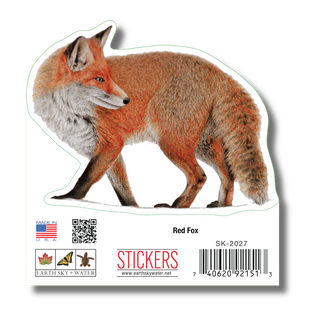 Red Fox image 1