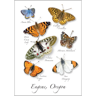 Pacific Northwest Butterflies image 0
