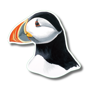 Atlantic Puffin image 0