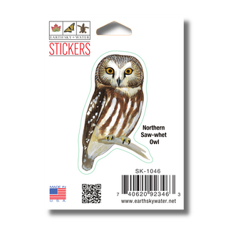 Northern Saw-whet Owl image 1