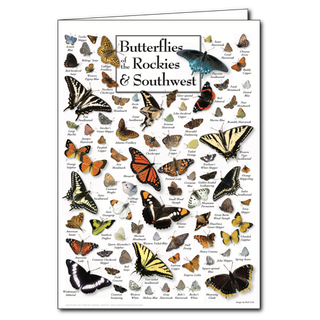Butterflies of the Rockies & Southwest - Poster Card image 0