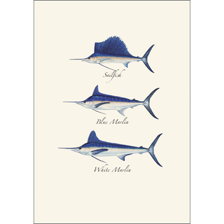 Saltwater Fish Assortment image 1