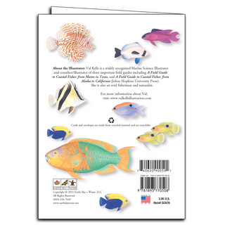 Caribbean Fish image 1