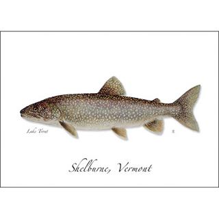 Lake Trout image 0