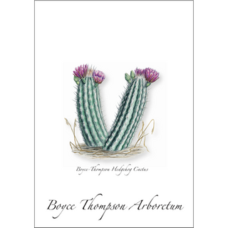 Boyce-Thompson Hedgehog Cactus image 0