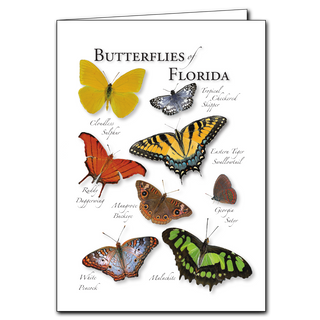 Butterflies of Florida - Regional Card image 0