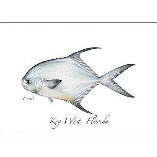 Permit image 0