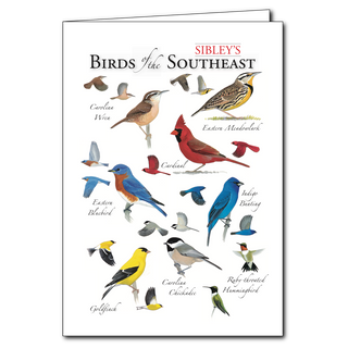 Sibley’s Birds of the Southeast - Regional Card image 0