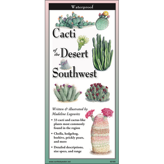 Cacti of the Desert Southwest image 0