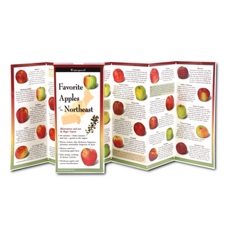 Favorite Apples of the Northeast image 1