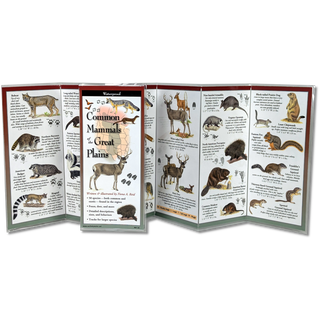 Common Mammals of the Great Plains image 1