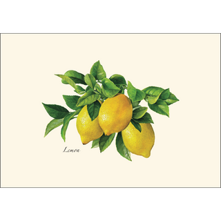 Citrus Assortment image 1