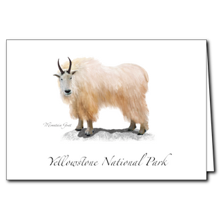 Mountain Goat image 0