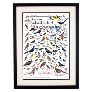 Peterson's Backyard Birds of the Rocky Mtn States - Poster - Double matted black frame image