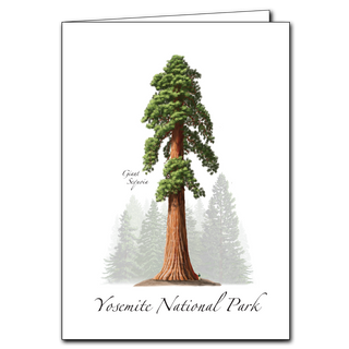 Giant Sequoia image 0