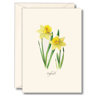 Daffodils notecard highlighting cheerful spring flowers, illustrated with care