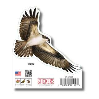 Osprey image 1