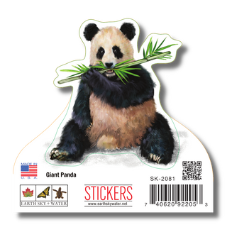 Giant Panda image 1