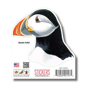 Atlantic Puffin image 1