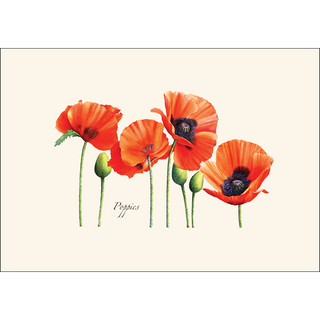Poppies image 1