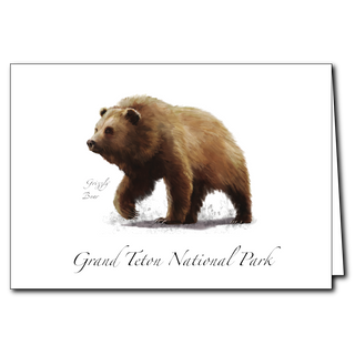 Grizzly Bear image 0