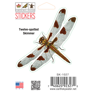 Dragonfly II stickers with vibrant color showing an insect species