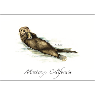 Sea Otter image 0