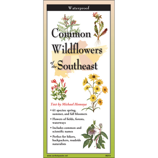 Common Wildflowers of the Southeast image 0
